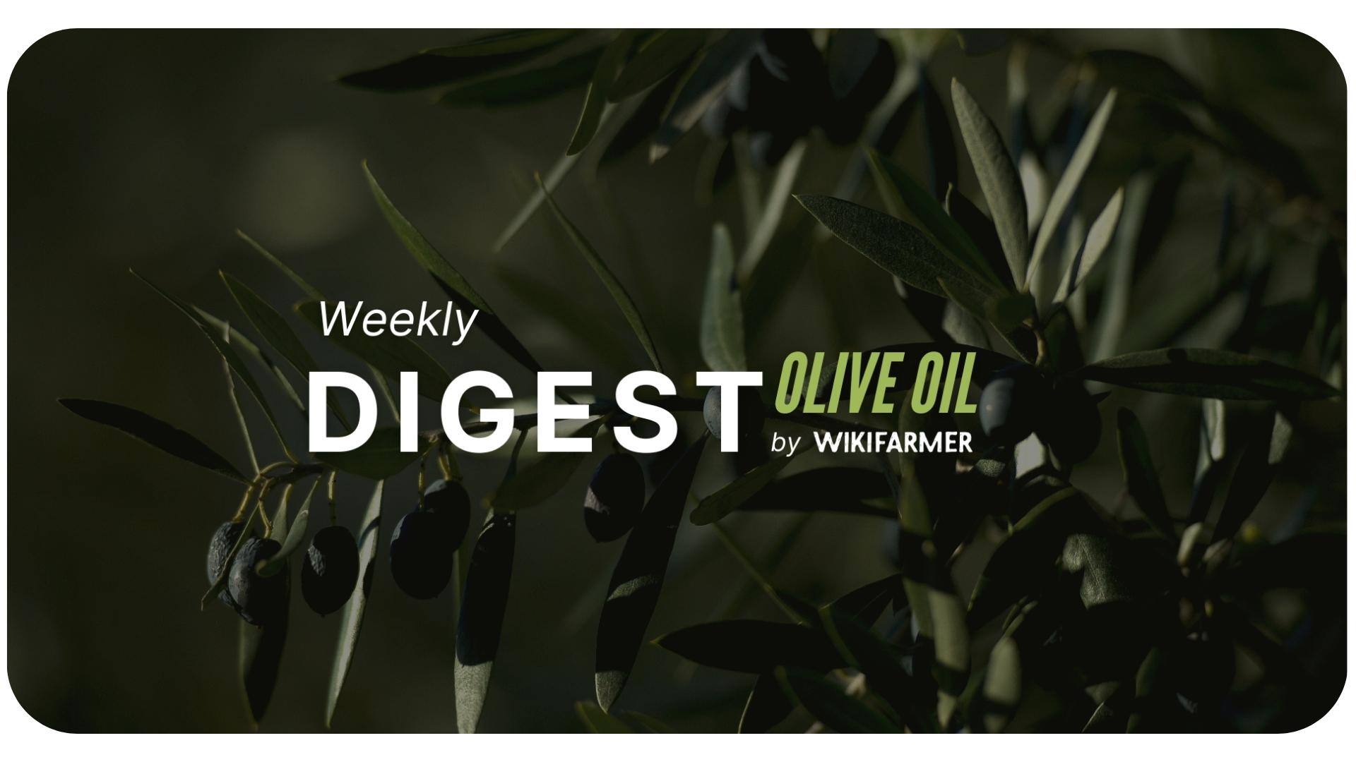 Olive Oil Market Digest w44/2024