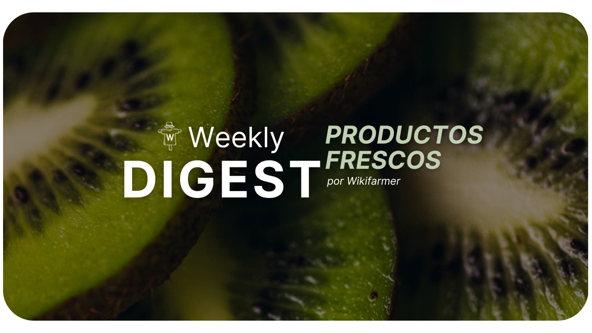 Boletín del mercado del kiwi w50/2024