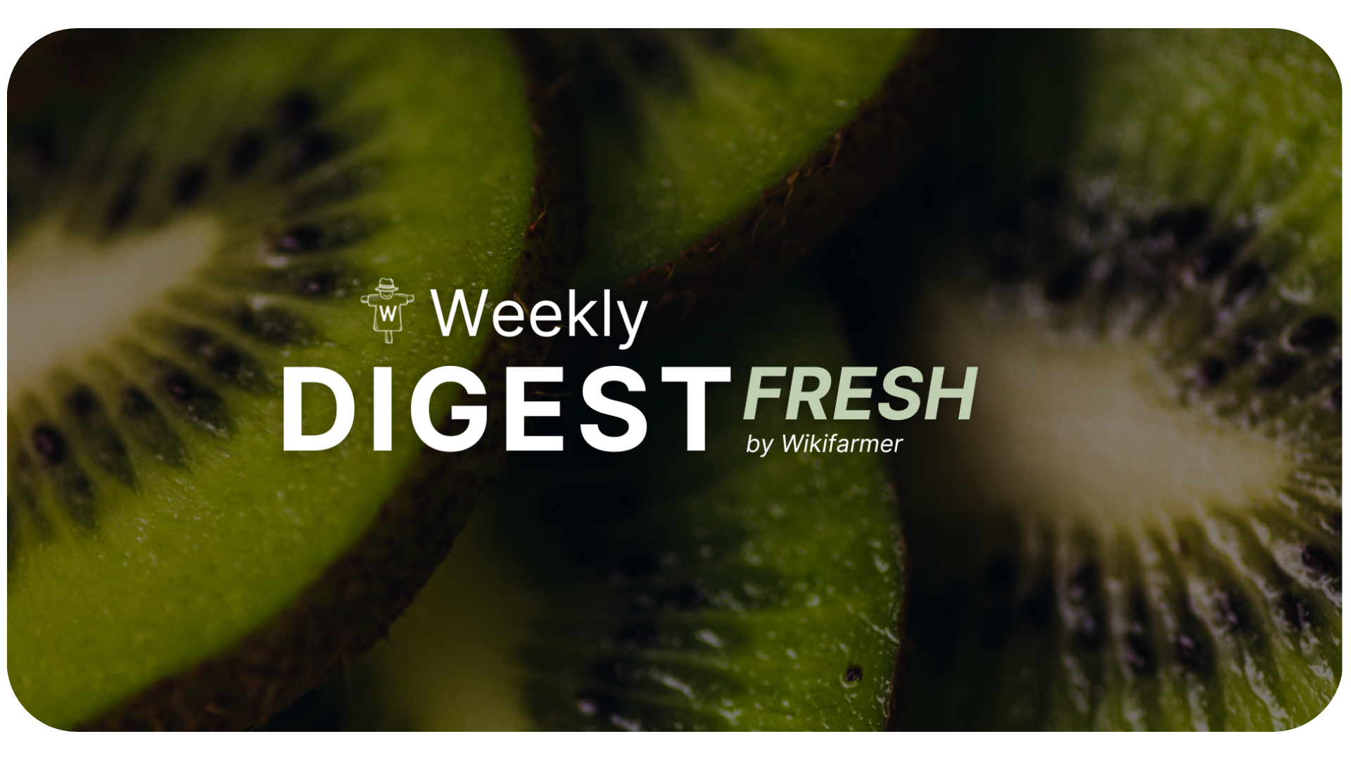 Kiwis Market Digest w42/2025