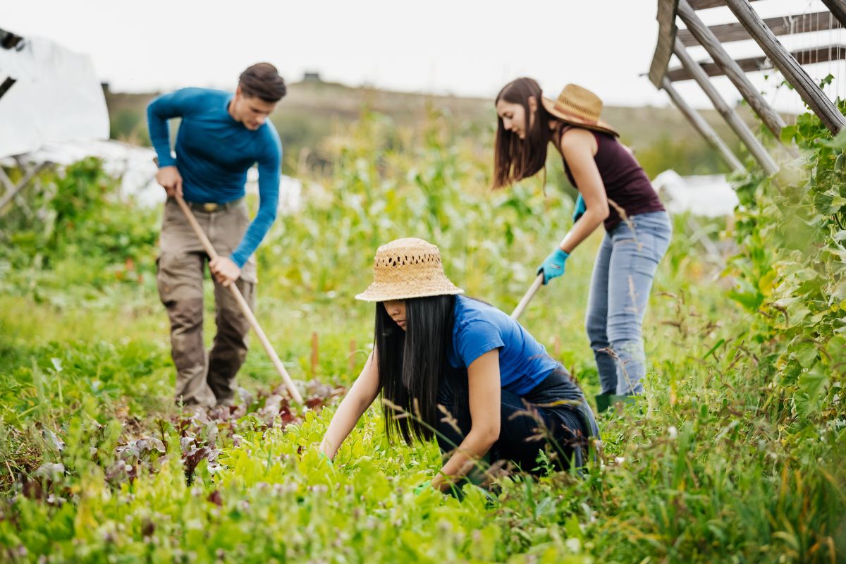 Community-Based Food Systems: Growing Local, Eating Better
