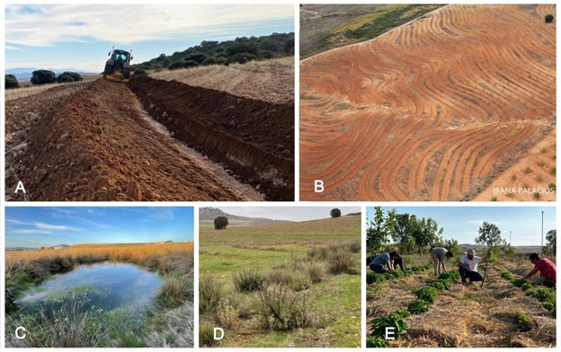 Example-practices-of-regenerative-agriculture.jpg