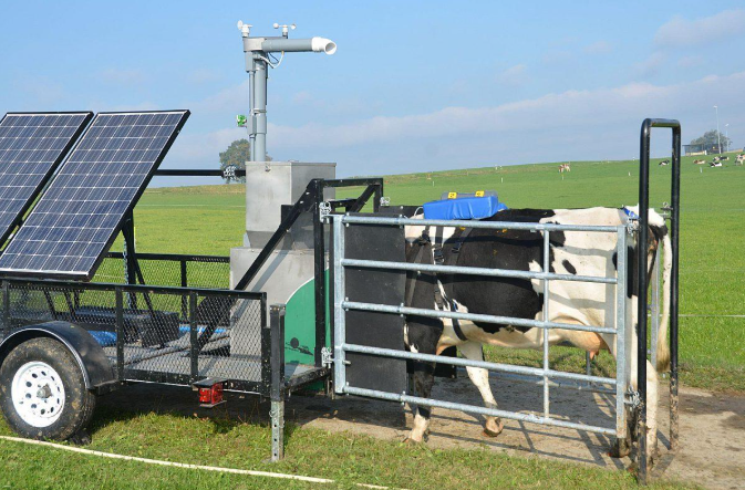 How to Measure Methane Emissions from Cattle | Wikifarmer