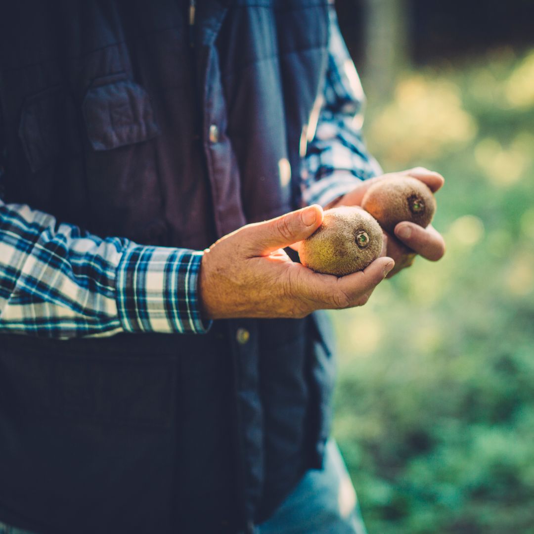 To what extent can we trust the authenticity of our fruit?