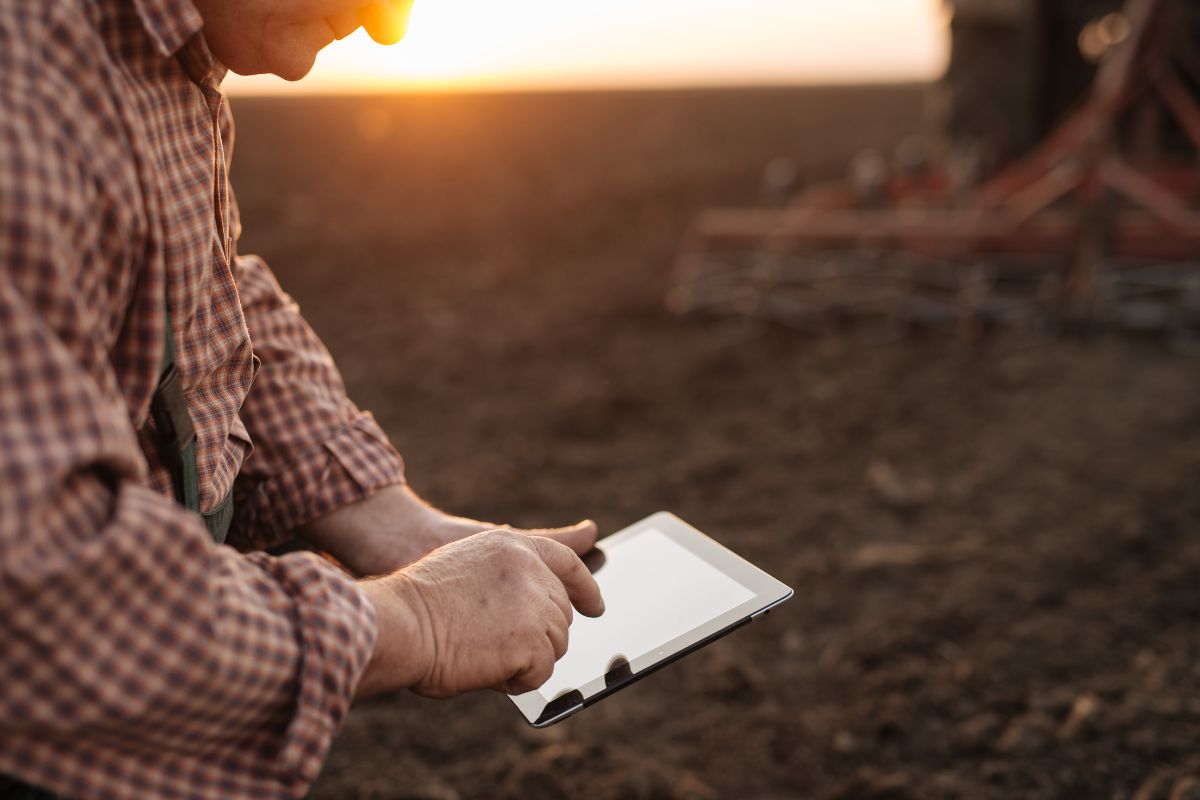 What Farmers Are Searching For: 2025 Agrifood Sector Trends Shaping Global Agriculture