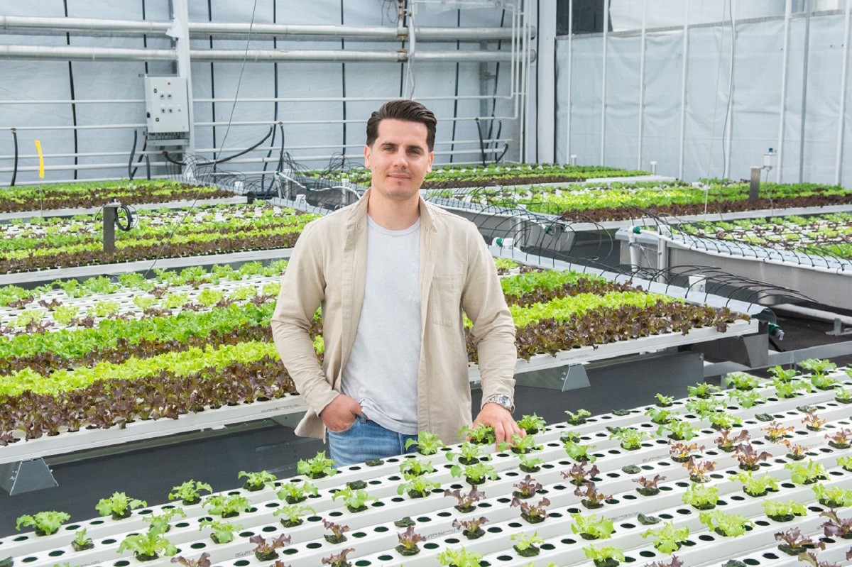 Why Leafy Greens CEA needs more than just innovation Why Leafy Greens CEA needs more than just innovation