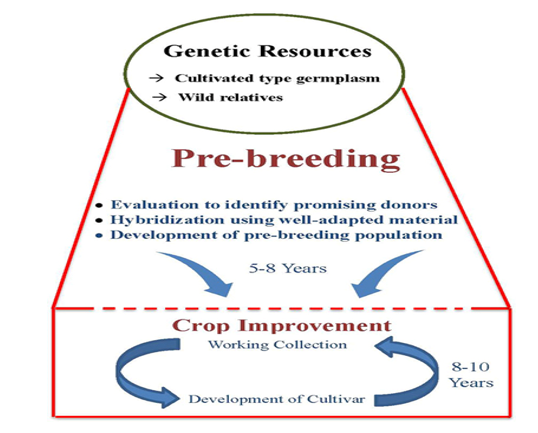 Exploiting wild relatives and landraces | Wikifarmer