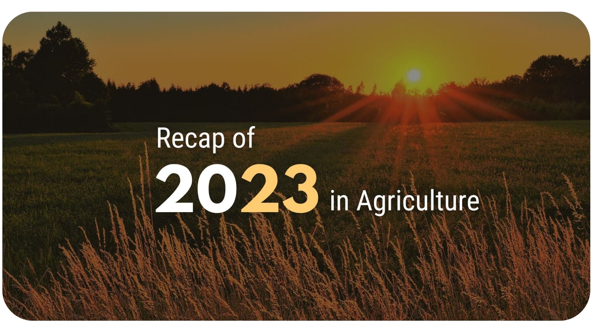 Unveiling the Agricultural Landscape of 2023 Unveiling the Agricultural Landscape of 2023