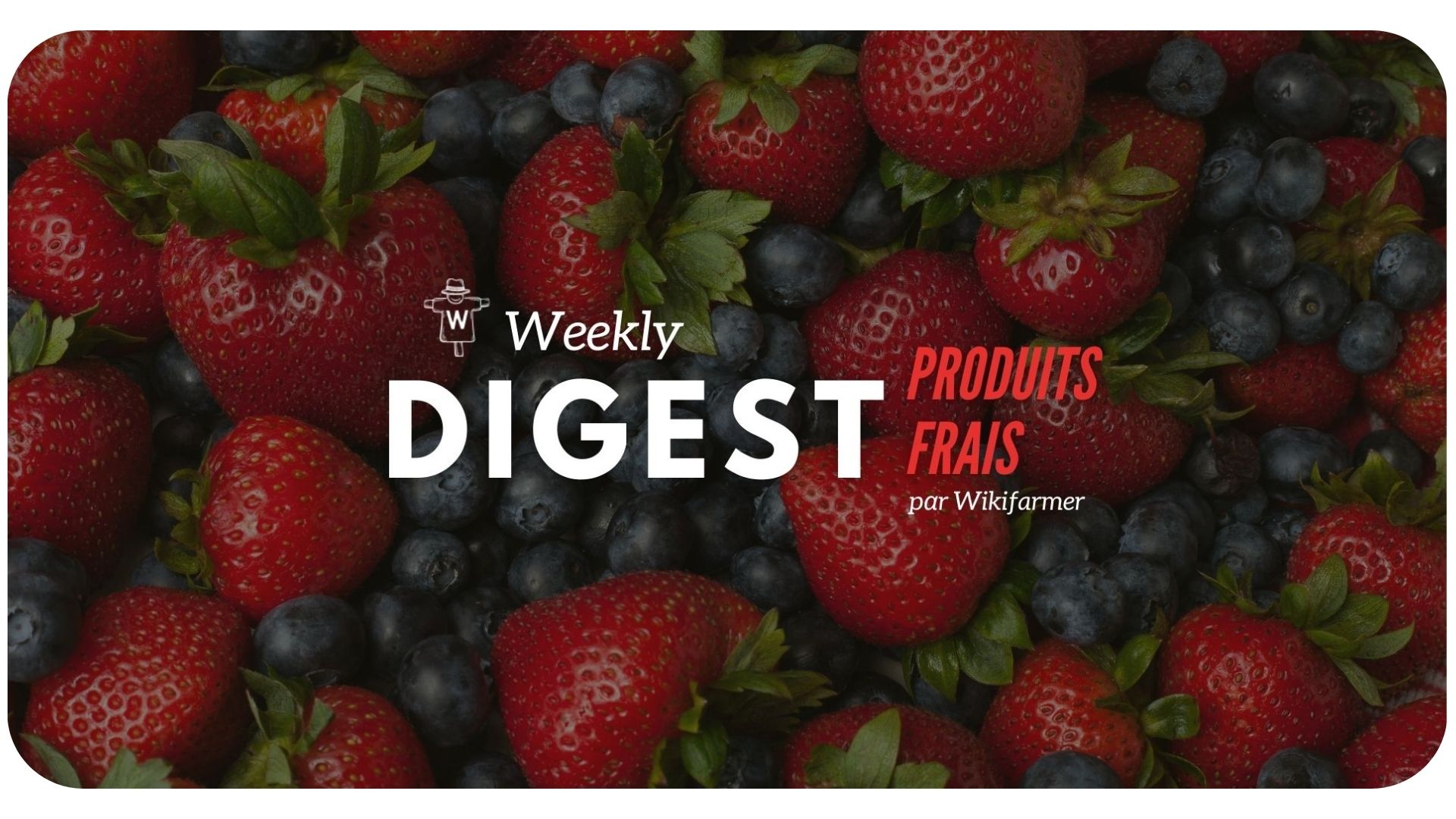 Analyse du marché des petits fruits w17/2024