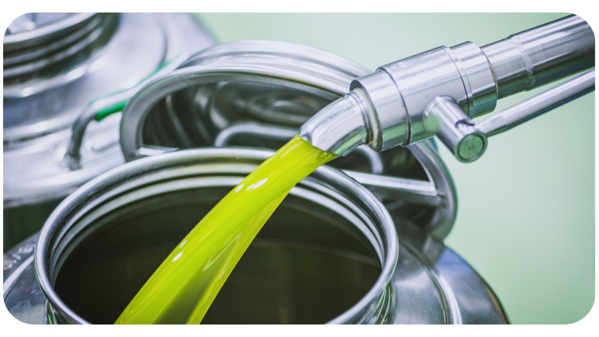 MOSH e MOAH nell'industria dell'olio d'oliva