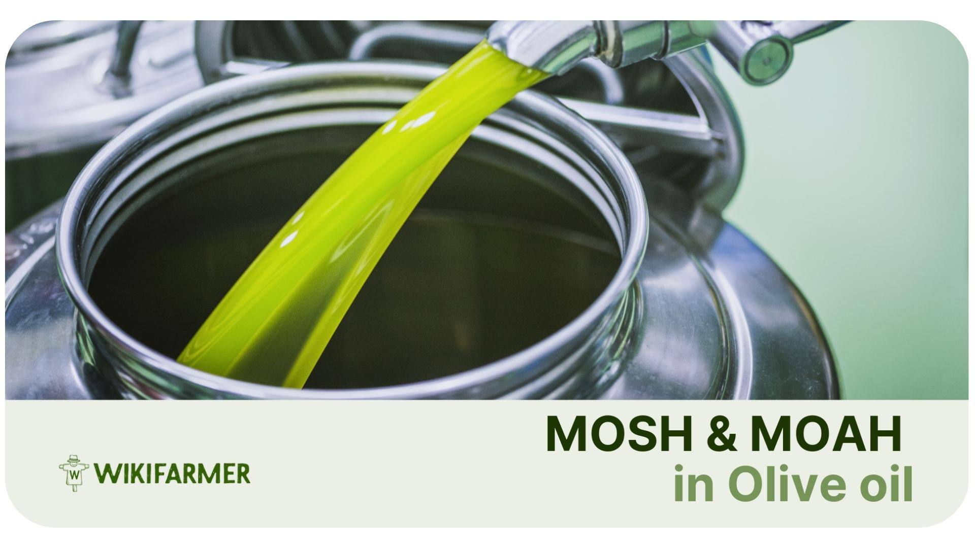 Understanding MOSH MOAH in the Olive oil industry