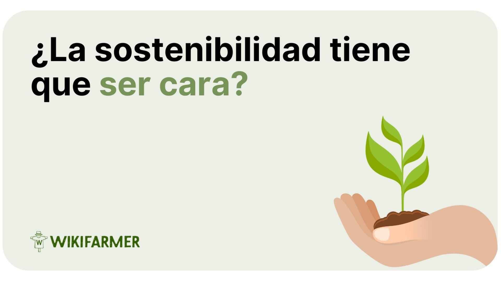 ¿La sostenibilidad tiene que ser cara?