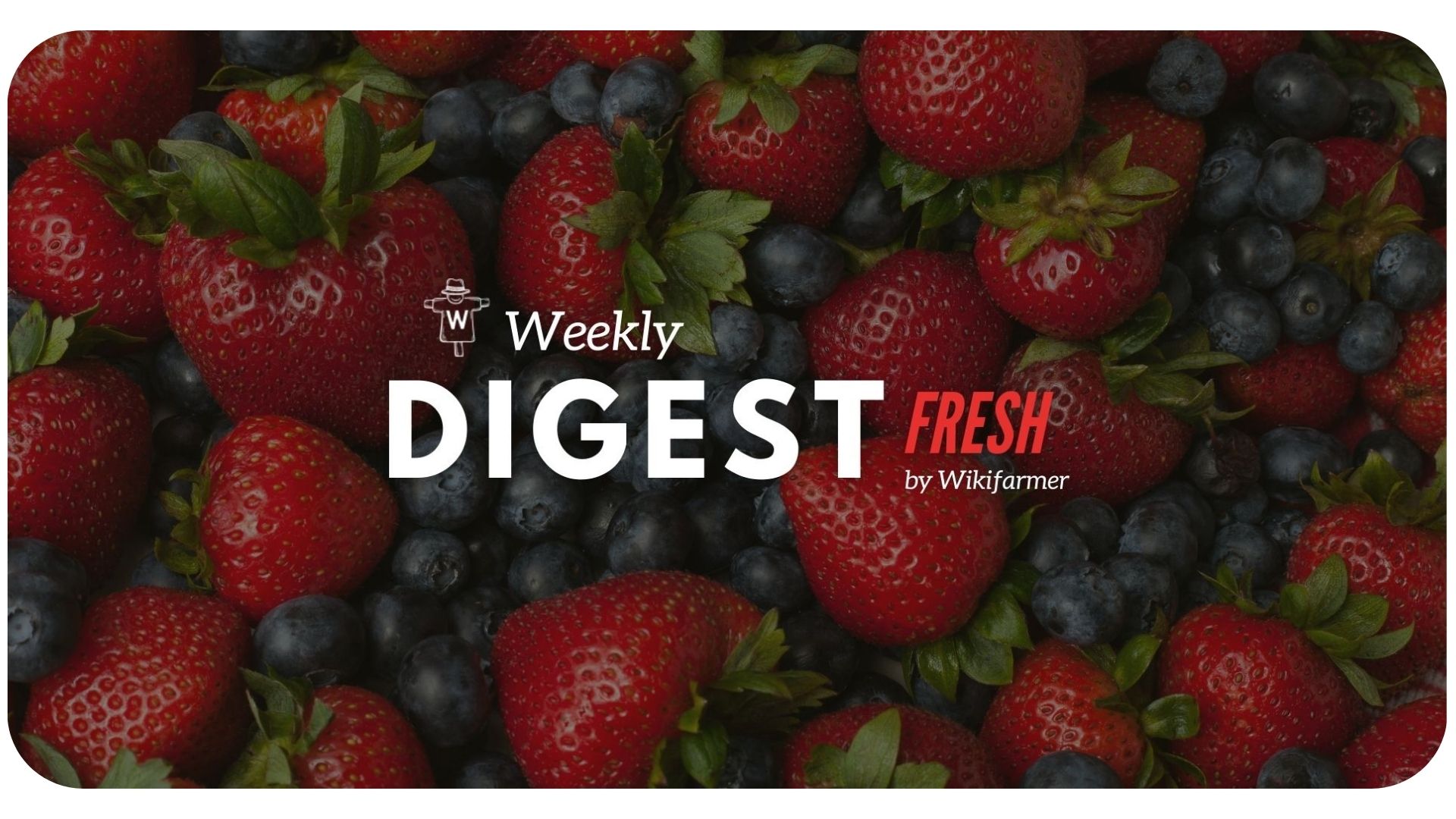 Berries Market Digest w16/2024