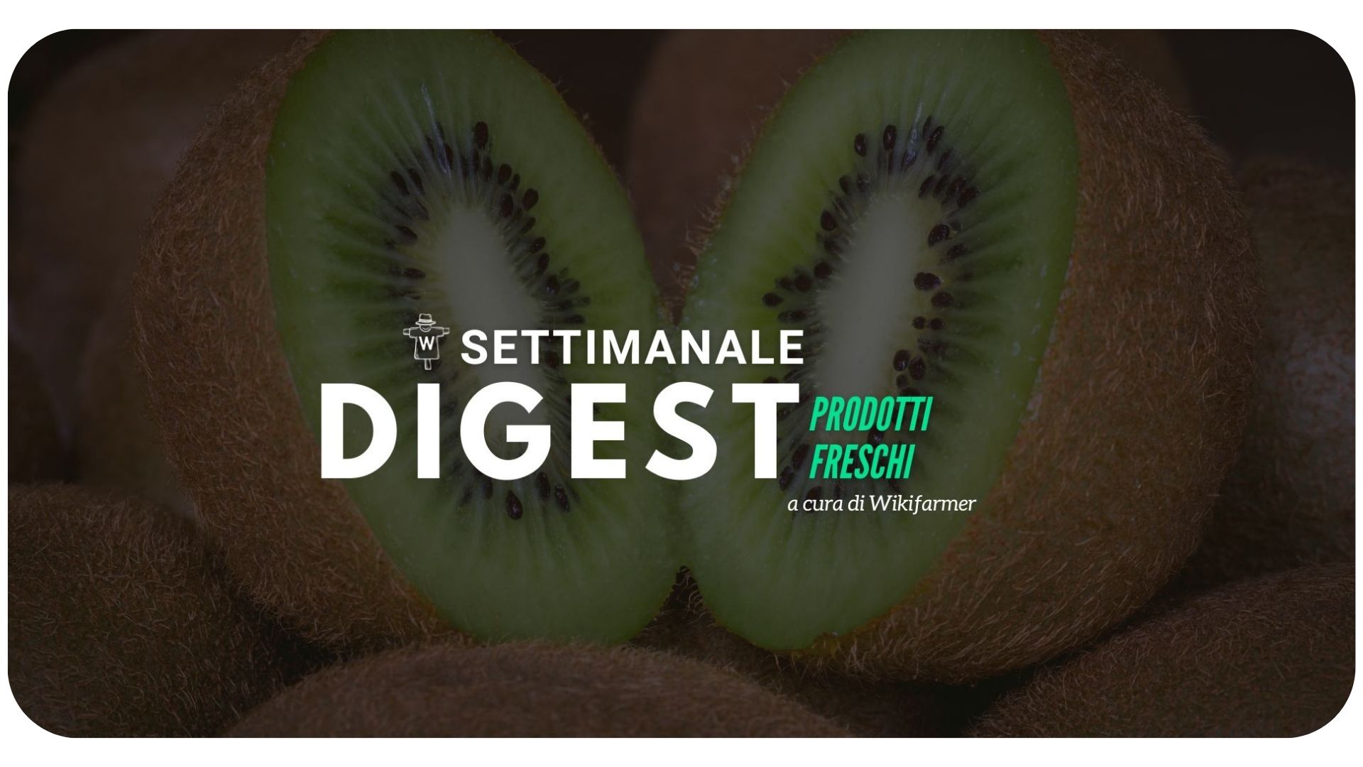 Il Mercato del Kiwi w47/2023