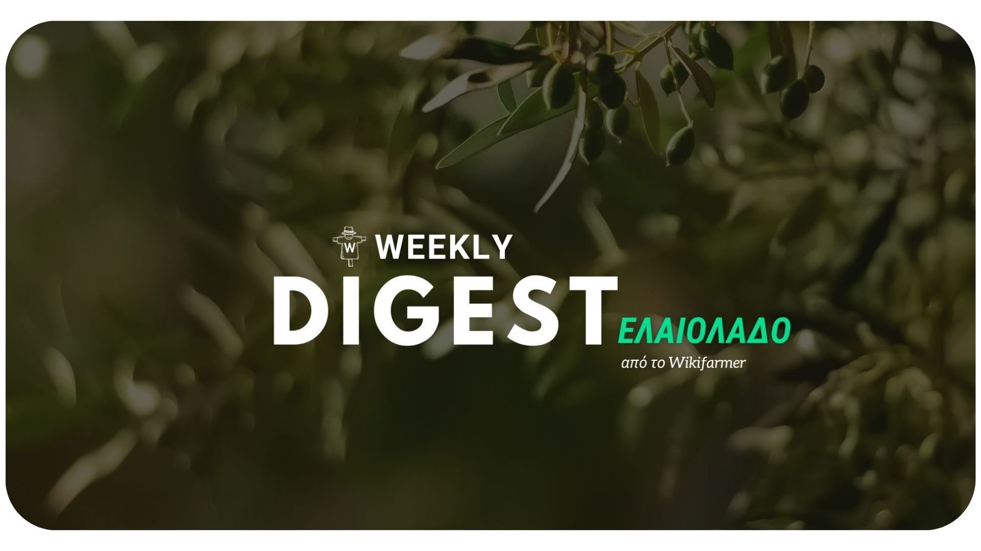 Η Αγορά του Ελαιολάδου W41 Η Αγορά του Ελαιολάδου w23/2024