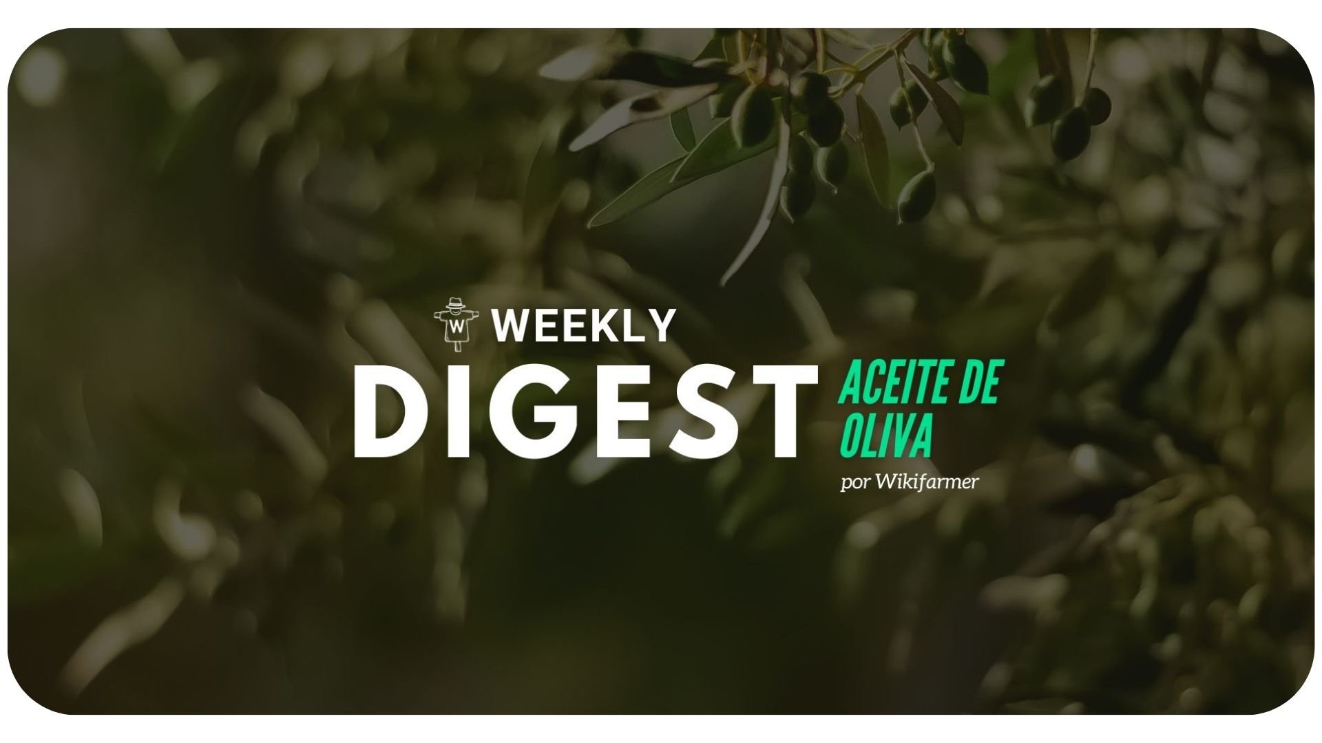 Mercado del Aceite de Oliva w6/2024