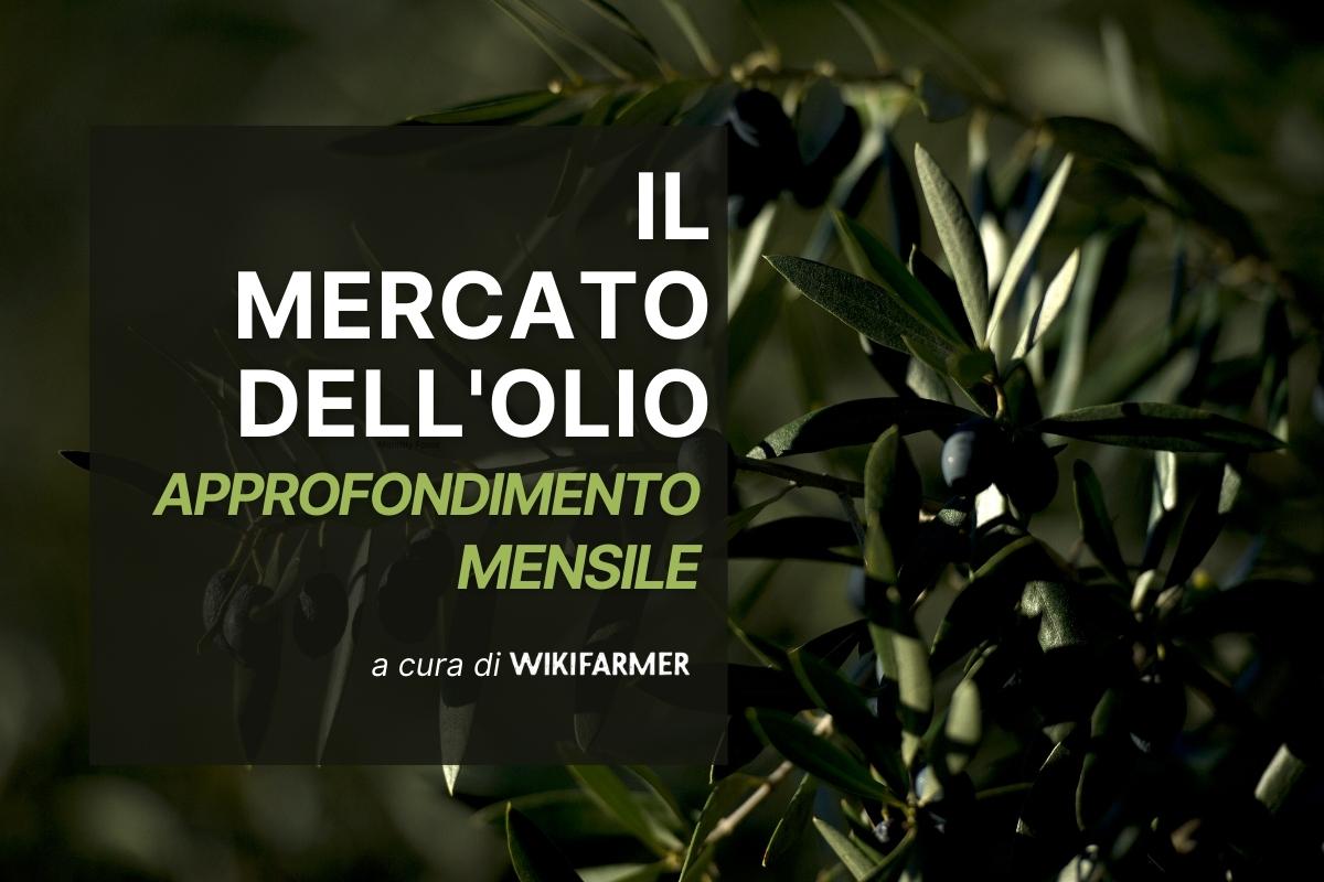 Il Mercato dell' Olio d' Oliva w24/2025