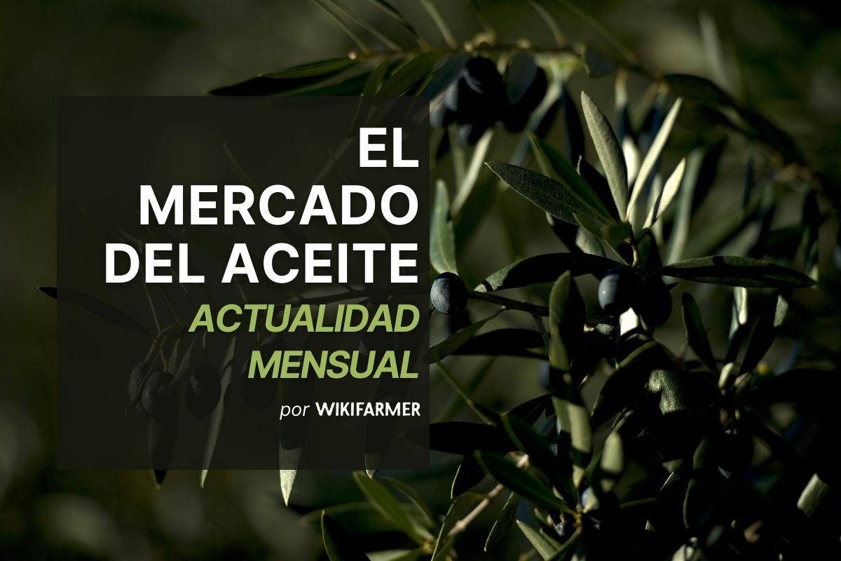 El mercado del aceite: Actualidad mensual mayo 2025
