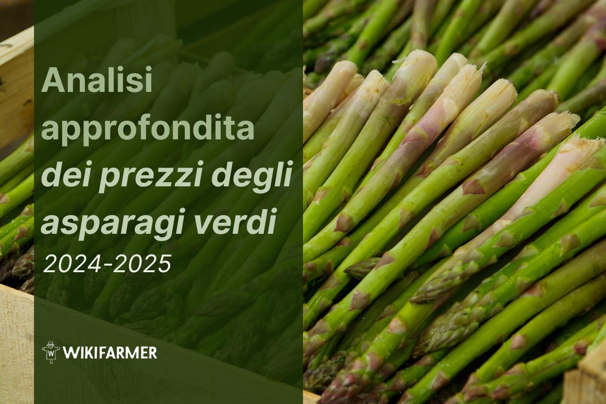 Analisi approfondita dei prezzi degli asparagi verdi: studio completo sui prezzi 2024-2025