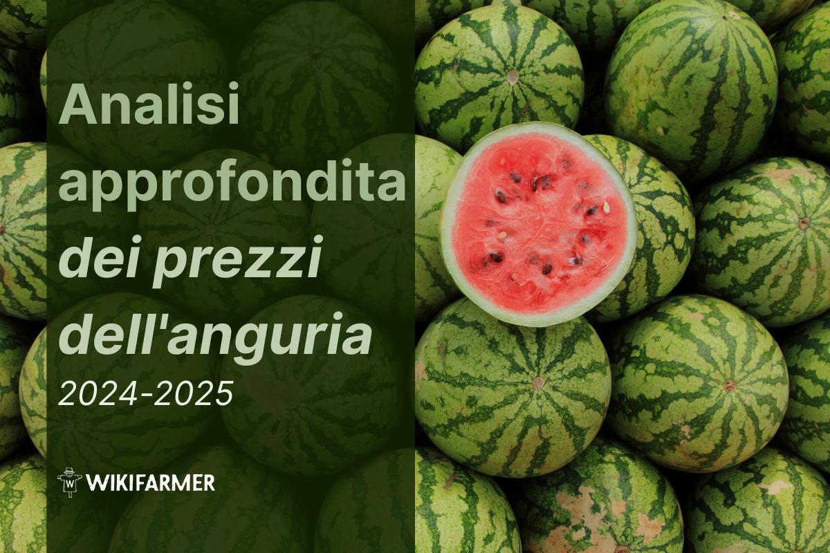 Analisi approfondita dei prezzi dell'anguria: studio completo sui prezzi 2024-2025