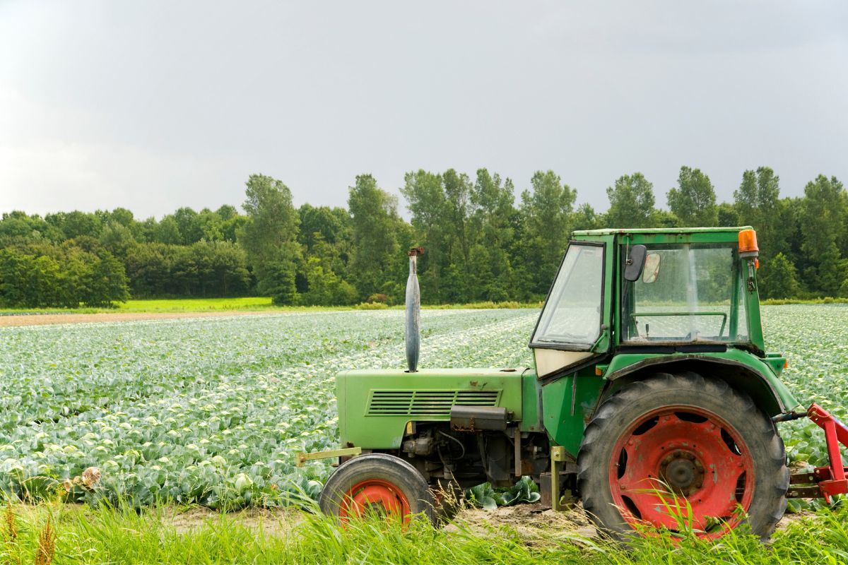 Climate-Smart Agriculture: Resilient, Sustainable Farming