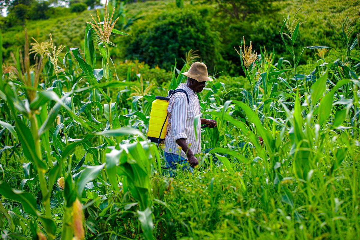 Farming in Harmony with Nature Rethinking Pesticides and Embracing Agroecology for a Healthier Future Farming in Harmony with Nature: Rethinking Pesticides and Embracing Agroecology for a Healthier Future