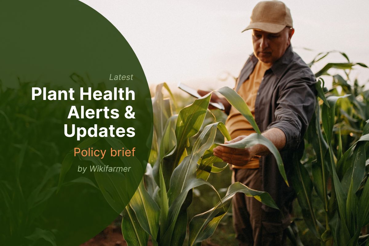 Lower Acetamiprid MRLs in Key Crops - New EU Regulation