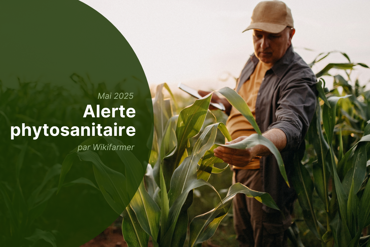 Mai 2025 - Changements dans l'UE en matière de protection des plantes : nouvelles règles en matière de pesticides et variétés de cultures résistantes