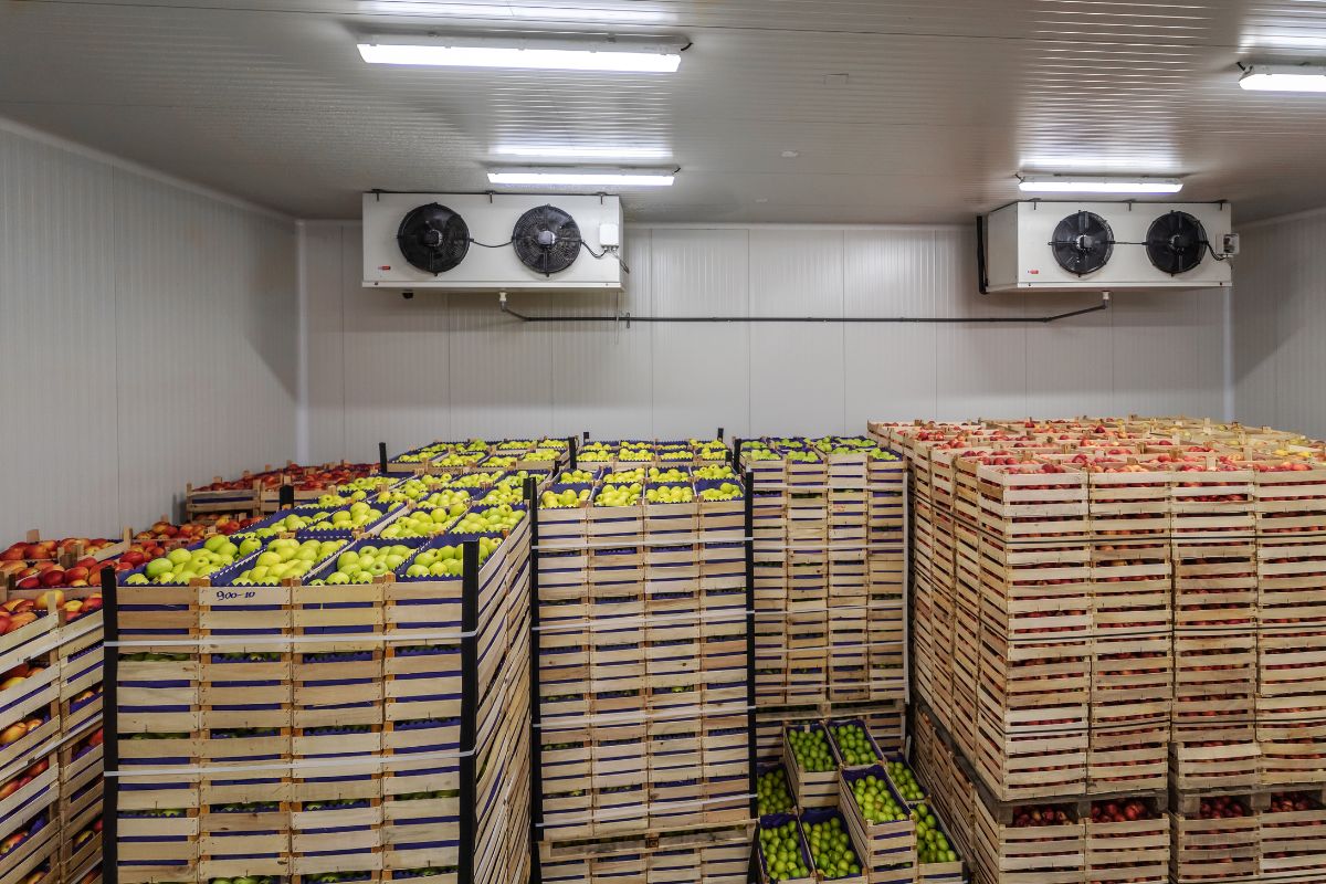 Post-Harvest Storage Solutions: Reduce Food Loss & Boost Farmer Incomes