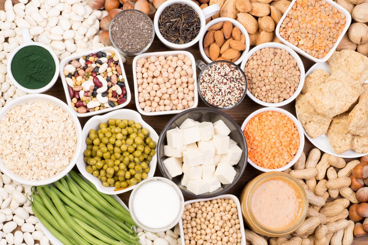 The Future of Plant Proteins in Europe Market Trends, Consumer Shifts & Innovation The Future of Plant Proteins in Europe: Market Trends, Consumer Shifts & Innovation
