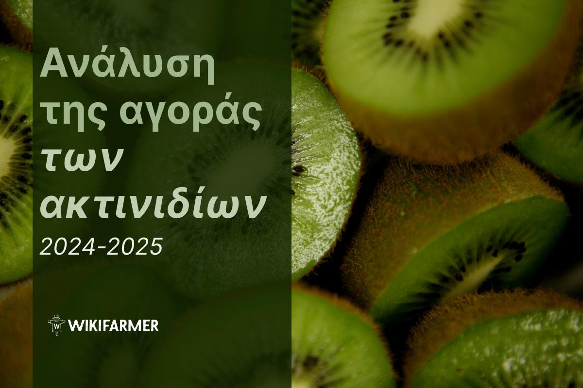 Ανάλυση της αγοράς των ακτινιδίων: Μελέτη των τιμών 2024-2025