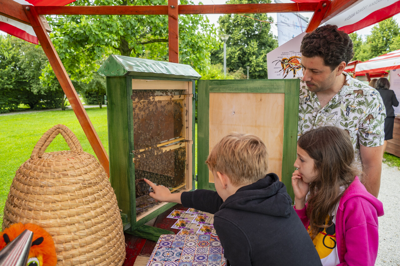Bees Guardians of Life on Earth – Education, Biodiversity, and Environmental Health Bees: Guardians of Life on Earth – Education, Biodiversity, and Environmental Health