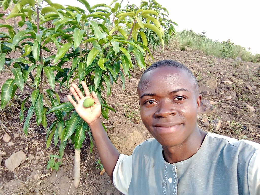 Birthday Tree Cake: Celebrating Birthdays with Tree Planting for Food Security and Environmental Conservation