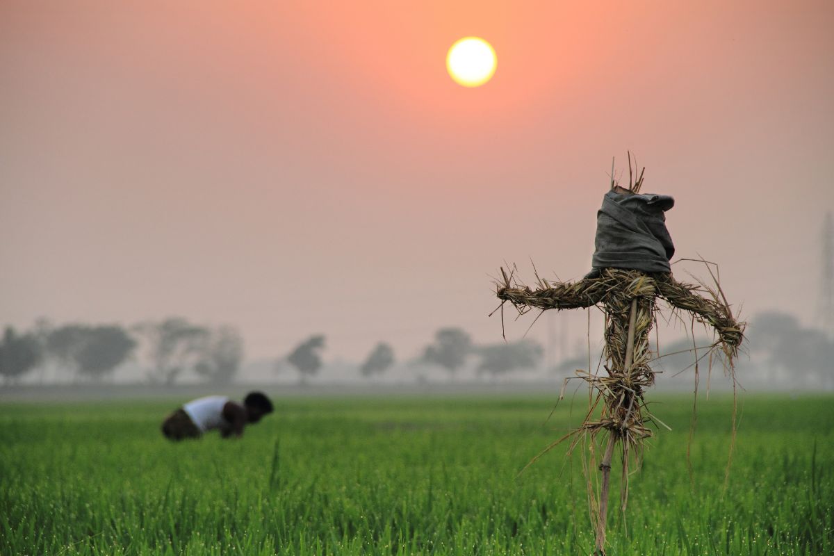 Building Resilient and Sustainable Agrifood Systems for the Future Building Resilient and Sustainable Agrifood Systems for the Future