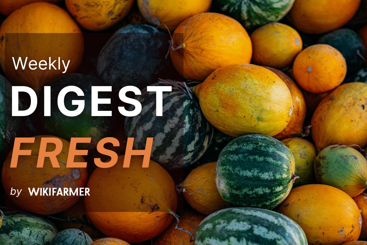 Fresh Market Digest w26/2025