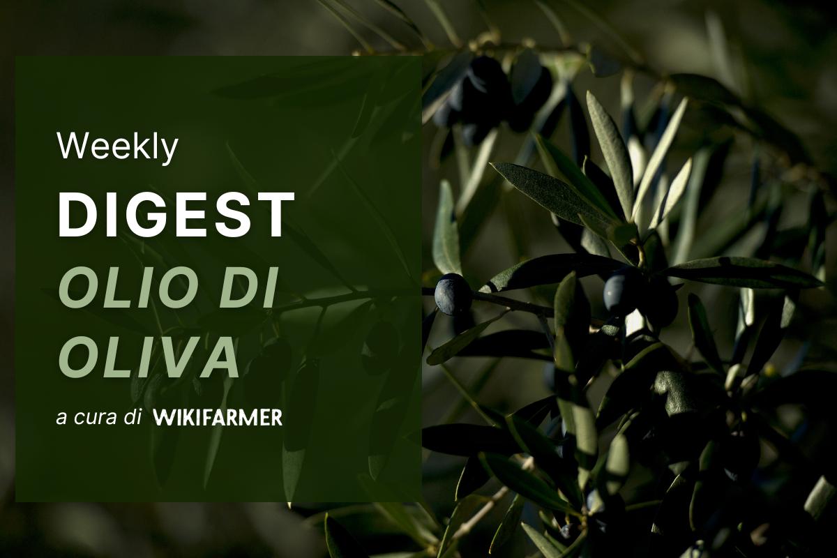 Il Mercato dell' Olio d' Oliva w28/2025