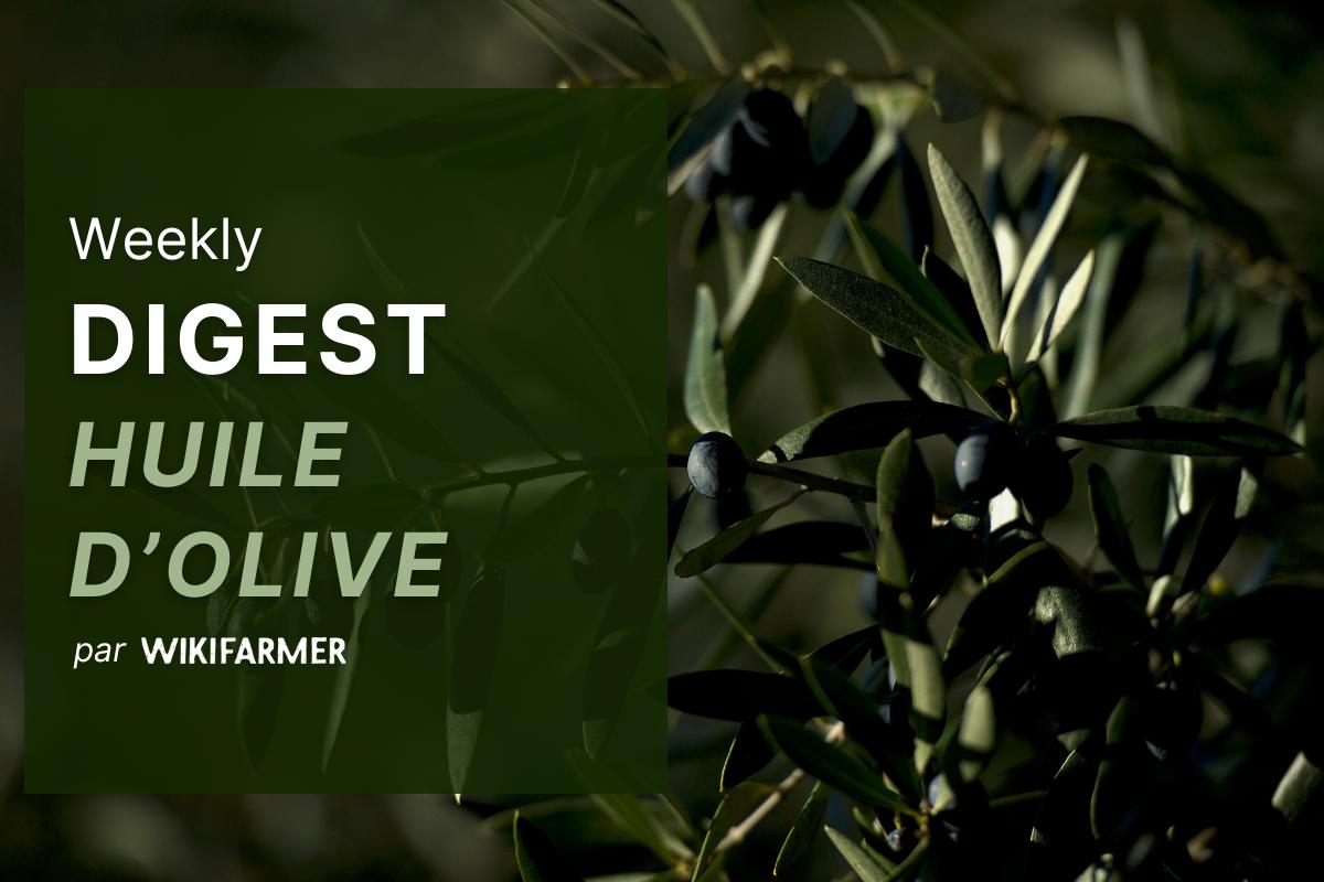 Le marché de l'huile d'olive w27/2025