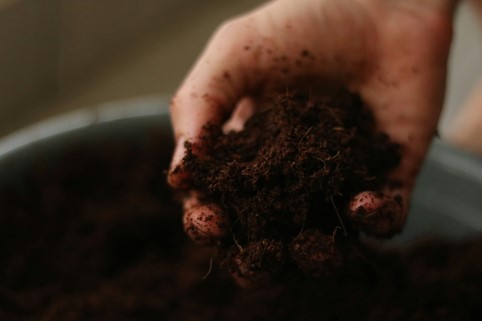 Soil Health and Soil Biota: Building Resilient Ecosystems for Sustainable Agriculture