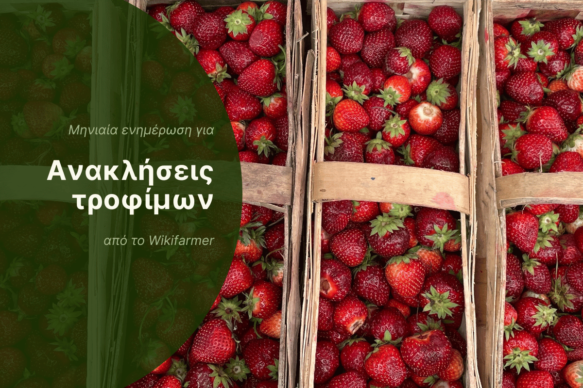 Ανακλήσεις τροφίμων - Ανάλυση Ιουνίου
