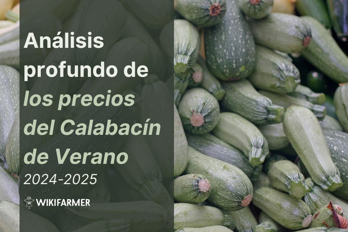 Análisis Profundo de los Precios del Calabacín de Verano: Estudio Completo de Precios 2025
