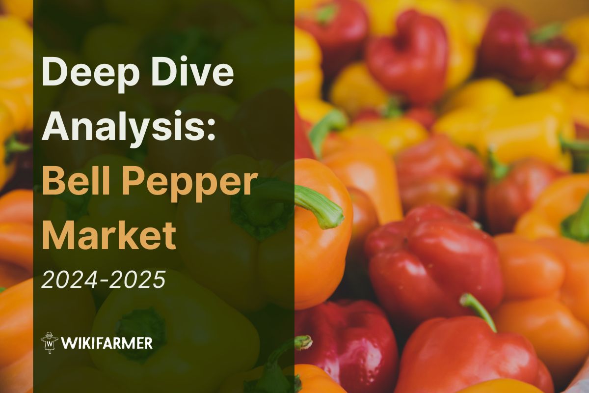 Deep-Dive Analysis: Global Bell Pepper Market