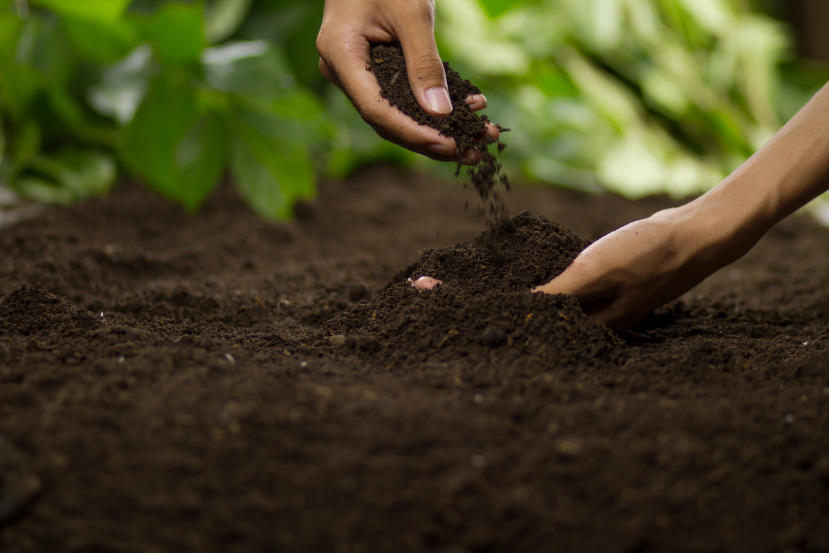 Farming fo carbon A new income beneath your feet Farming carbon: A new income beneath your feet