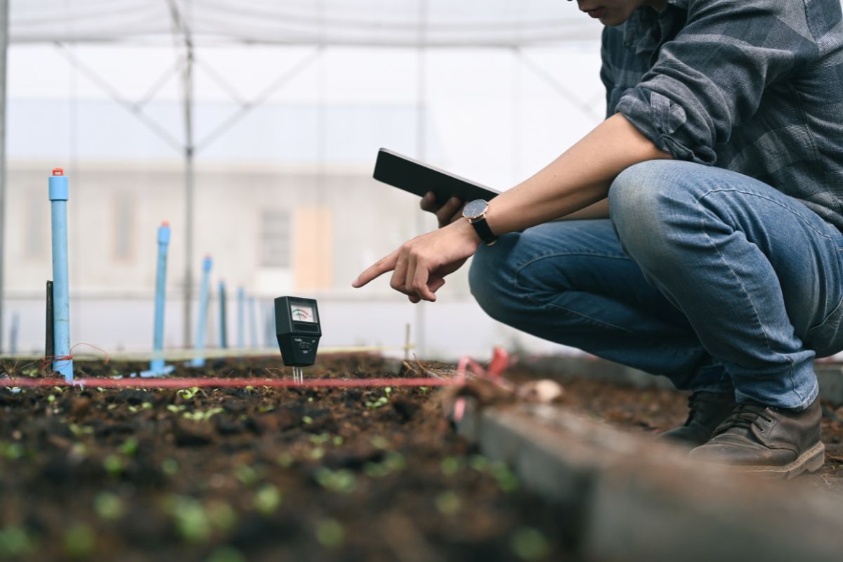 How AI Tools Are Transforming Small‑Scale Farming How AI Tools Are Transforming Small‑Scale Farming: Practical Examples and Global Insights