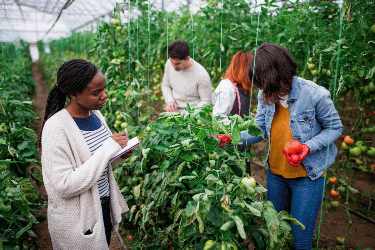 How farmers can succeed in agribusiness A letter from an agricultural educator How farmers can succeed in agribusiness: A letter from an agricultural educator