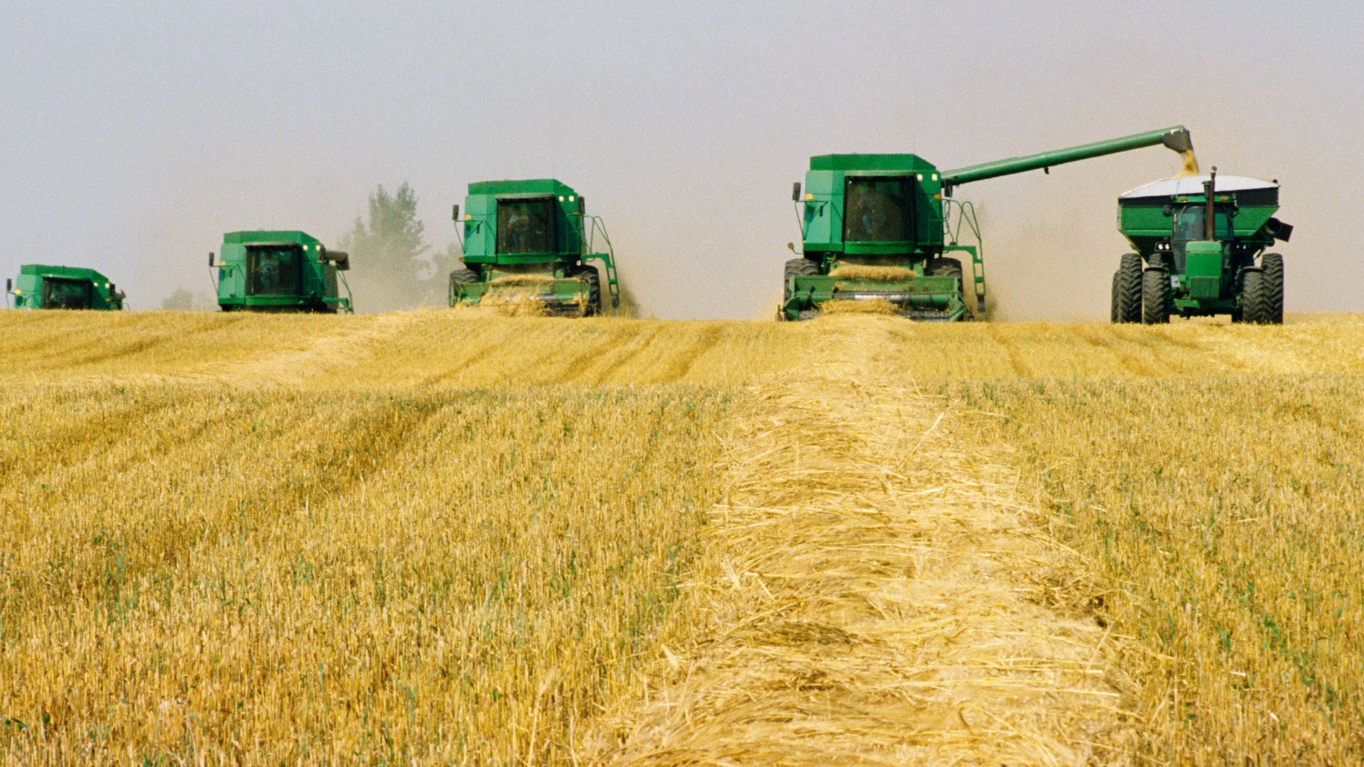 La rivoluzione verde: storia, tecnologie e sfide