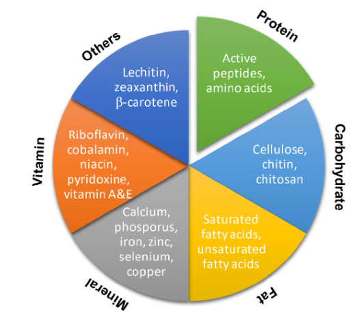 Edible insects as a sustainable source of fats and essential fatty ...