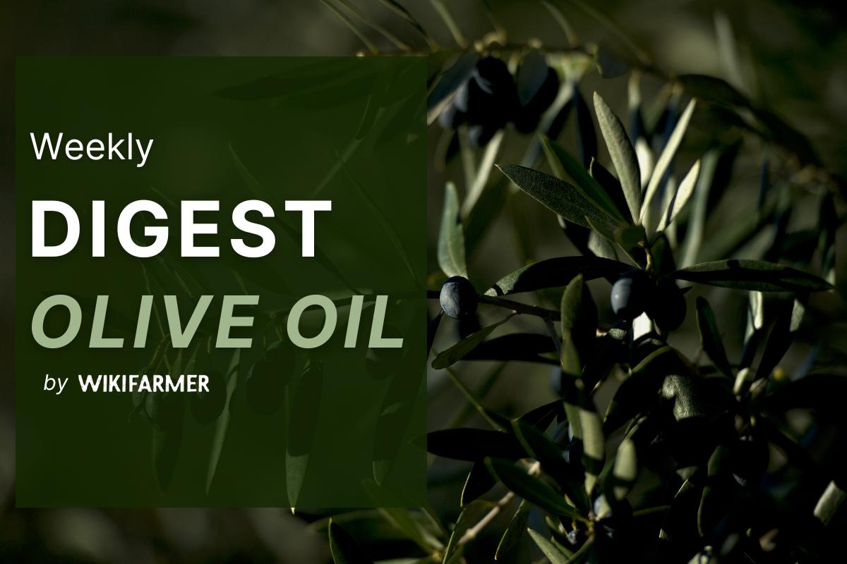 Olive Oil Market Digest w28/2025
