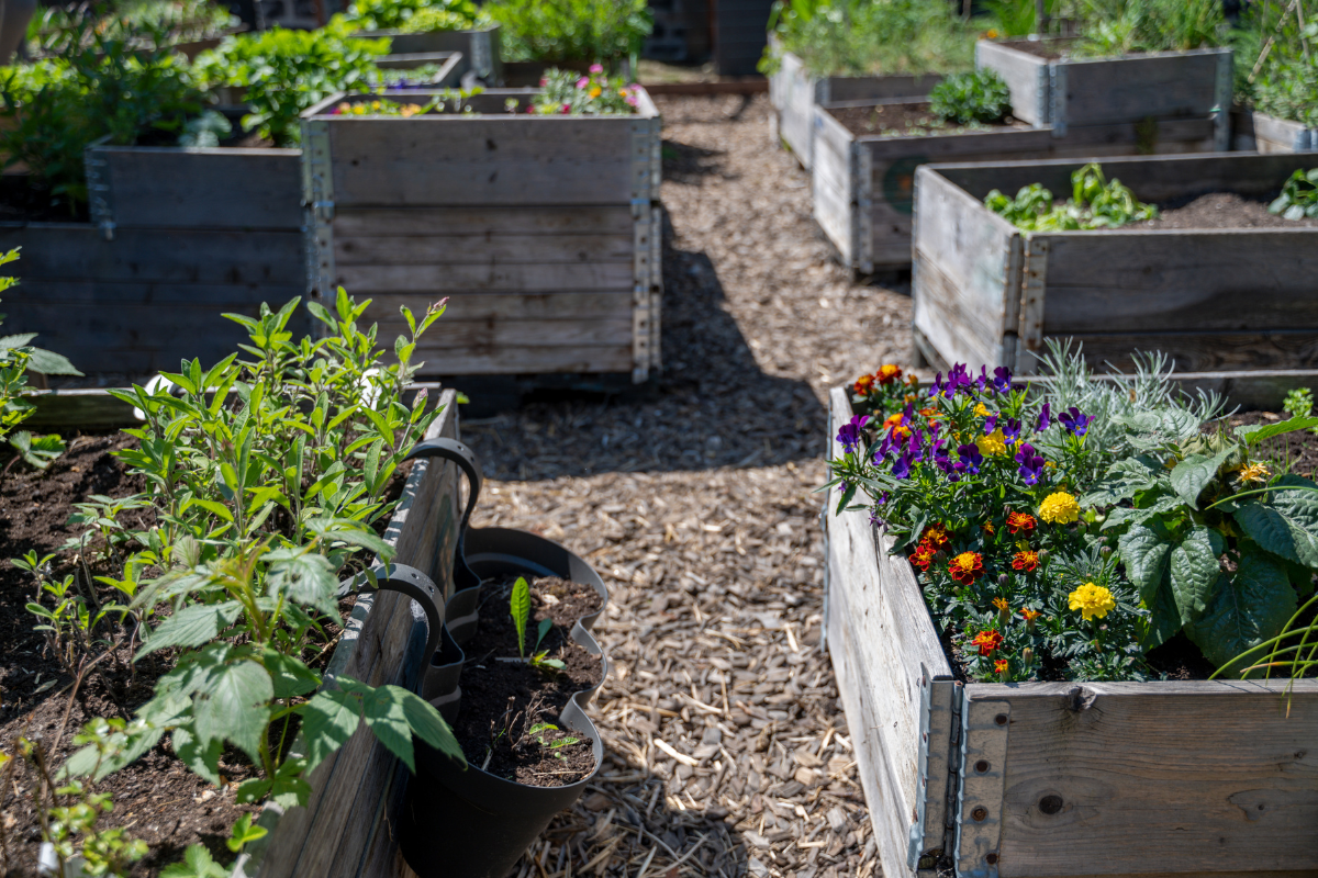 Permaculture and Raised Beds Cultivation for Small Spaces: The Ultimate Urban Gardening Guide Περμακουλτούρα και καλλιέργεια σε υπερυψωμένα παρτέρια για μικρούς χώρους: Ο απόλυτος οδηγός για την αστική κηπουρική