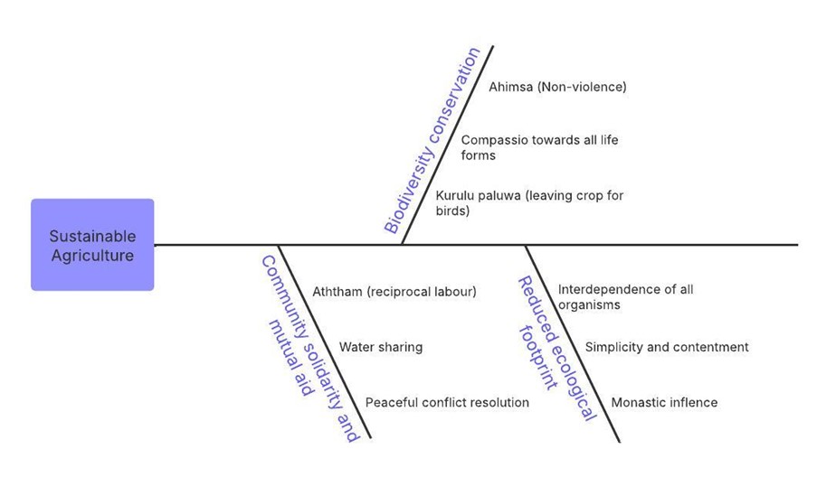 Picture2.jpg