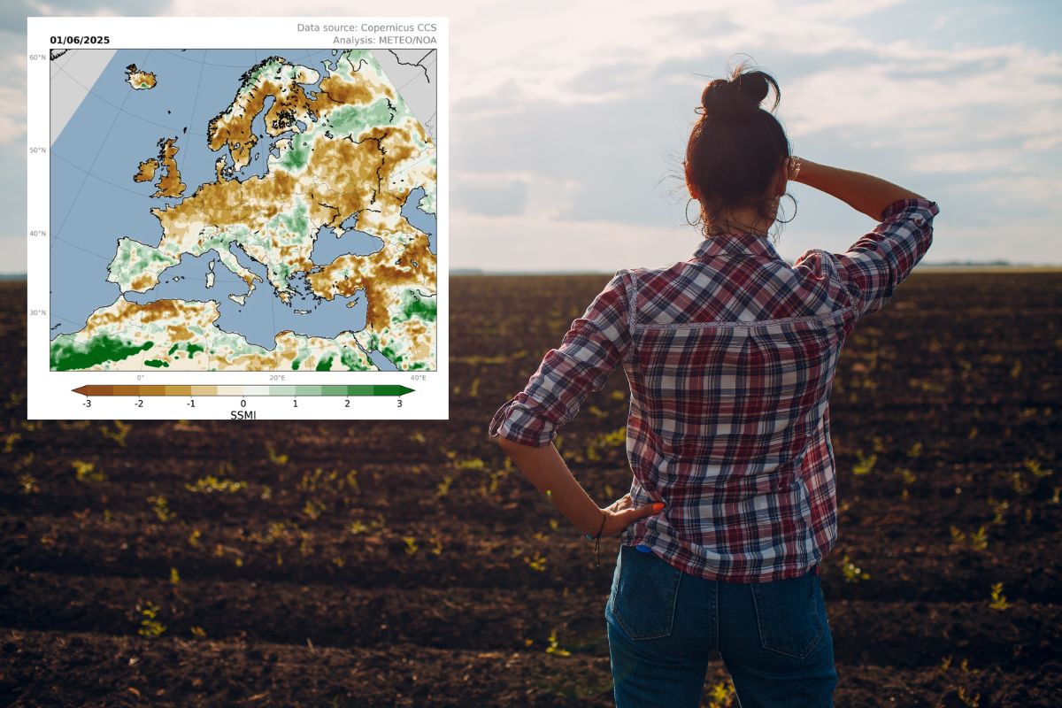 Prévisions climatiques saisonnières et perspectives agricoles pour l'Europe : juillet-septembre 2025