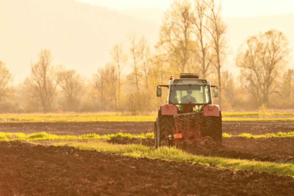 Soil carbon analysis: Methods, importance, and practical applications